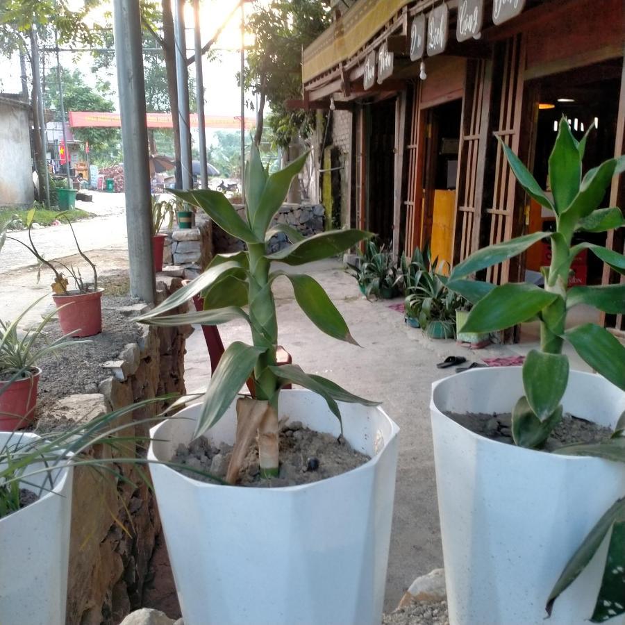 Du Gia Homestay Friendly Lang Cac ภายนอก รูปภาพ