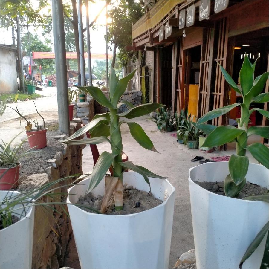 Du Gia Homestay Friendly Lang Cac ภายนอก รูปภาพ